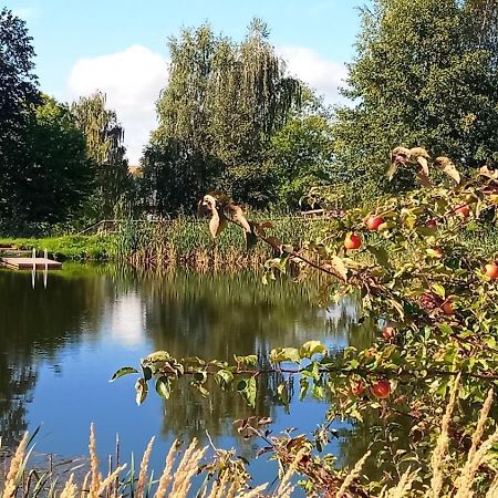 Historisches Rittergut Hexenburgbeidresden Nahe Sachsische Schweiz, Dresden - Mit Badeteich Διαμέρισμα Großharthau Εξωτερικό φωτογραφία