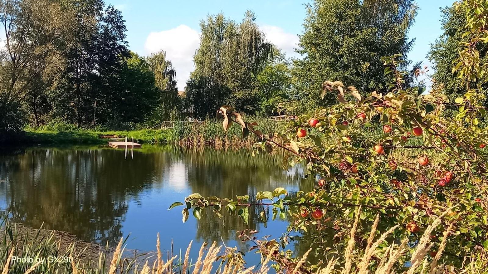 Historisches Rittergut Hexenburgbeidresden Nahe Sachsische Schweiz, Dresden - Mit Badeteich Διαμέρισμα Großharthau Εξωτερικό φωτογραφία